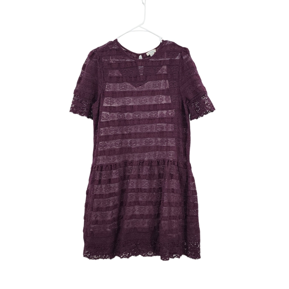 Sundance Women's Short Sleeve Lace A-line Mini Dress - 14